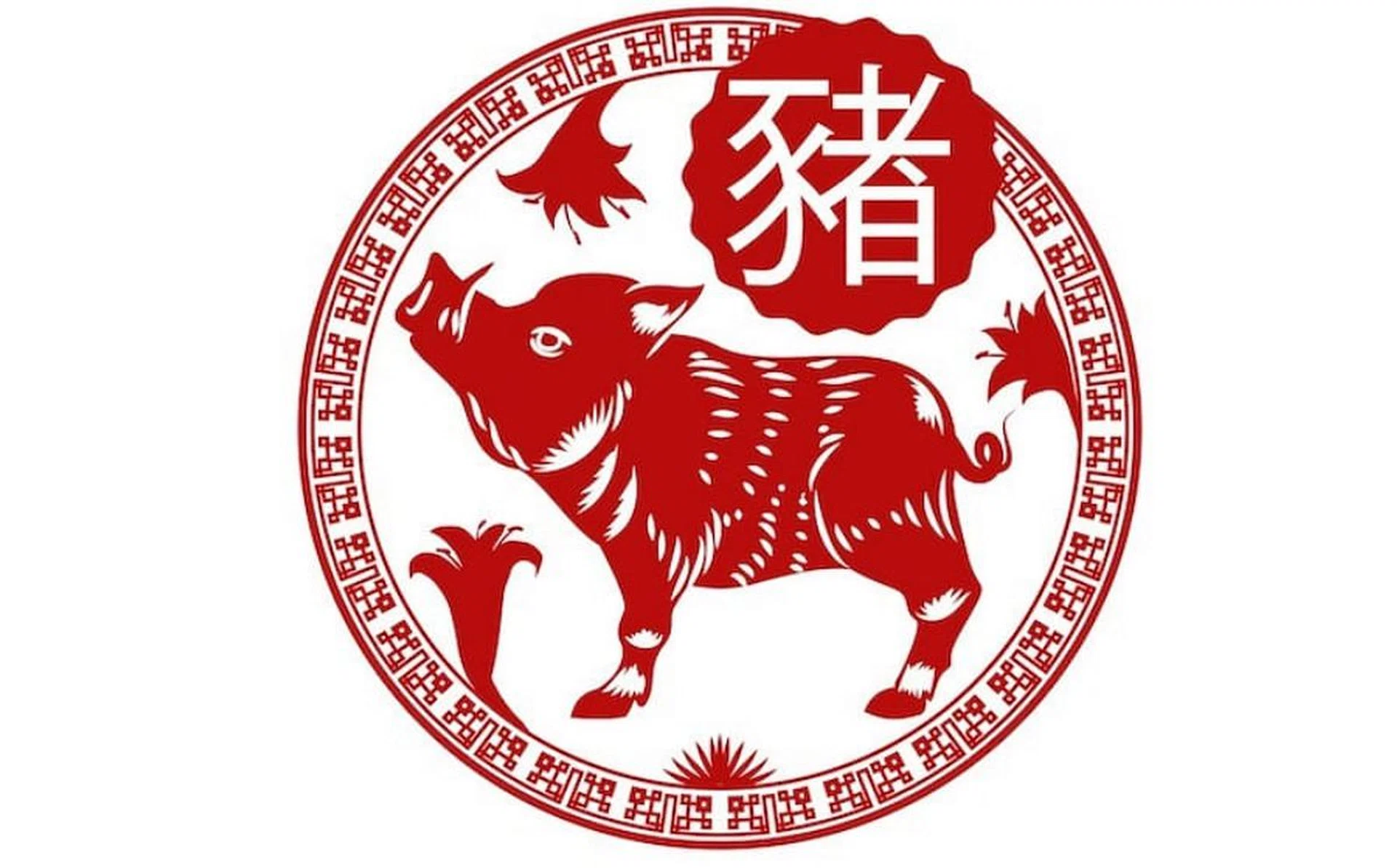 heres_2019s_horoscope_forecast_based_on_your_chinese_zodiac_sign_rect_