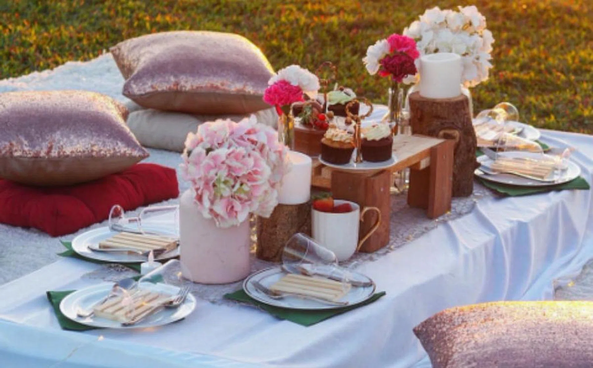 picnic_rect