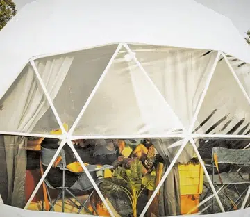 Glamping