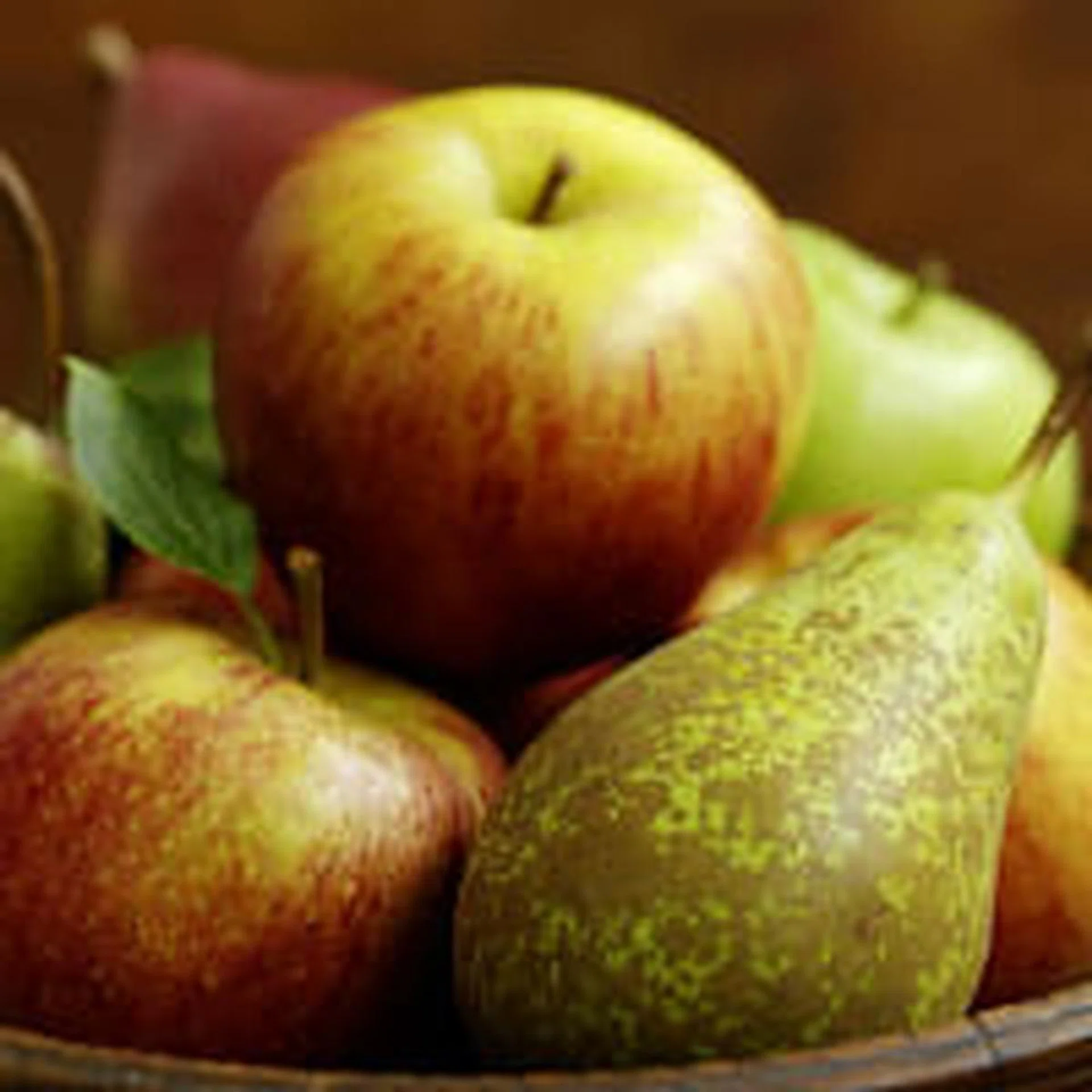 fruits_TN200