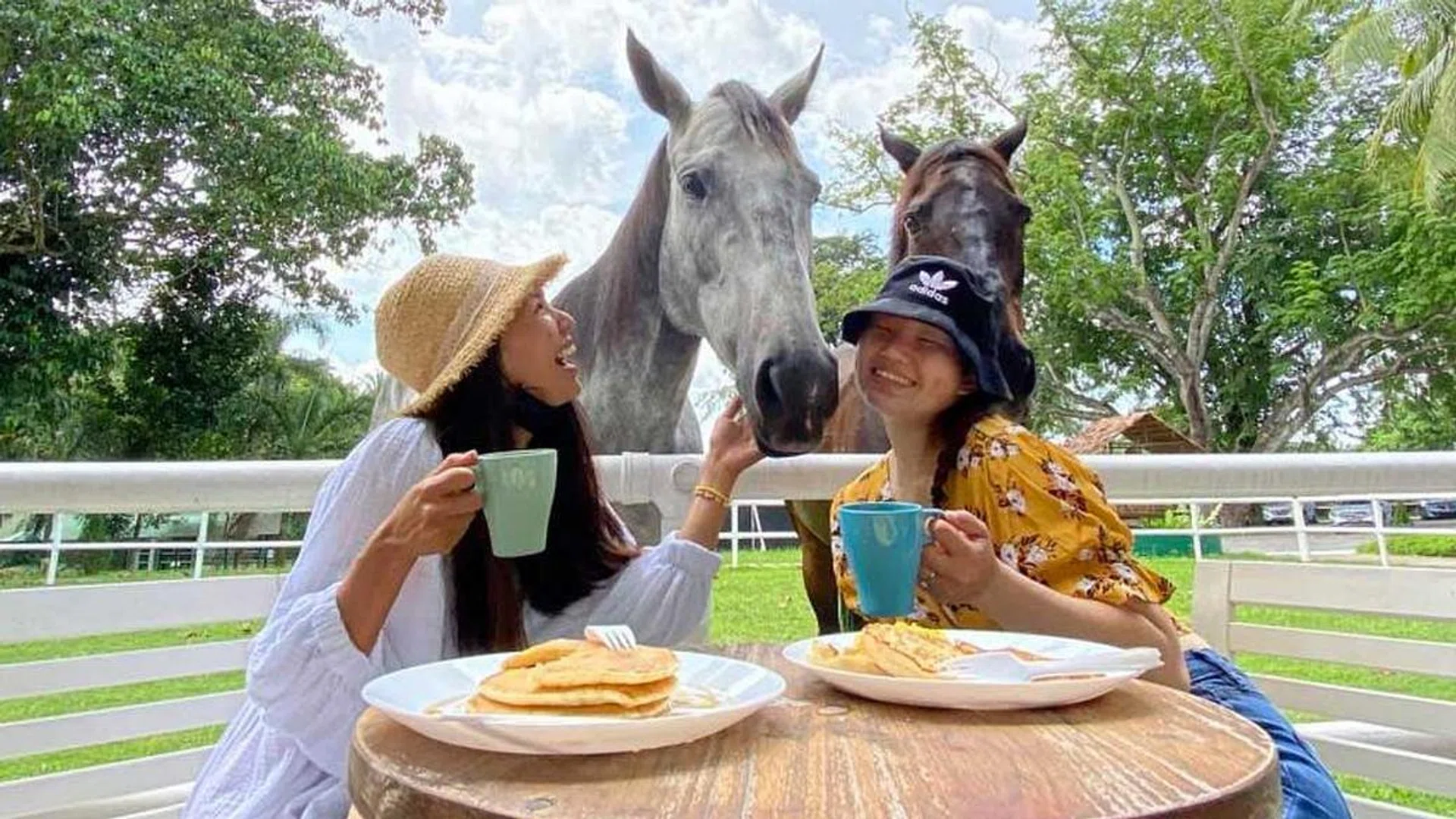 Creative staycation