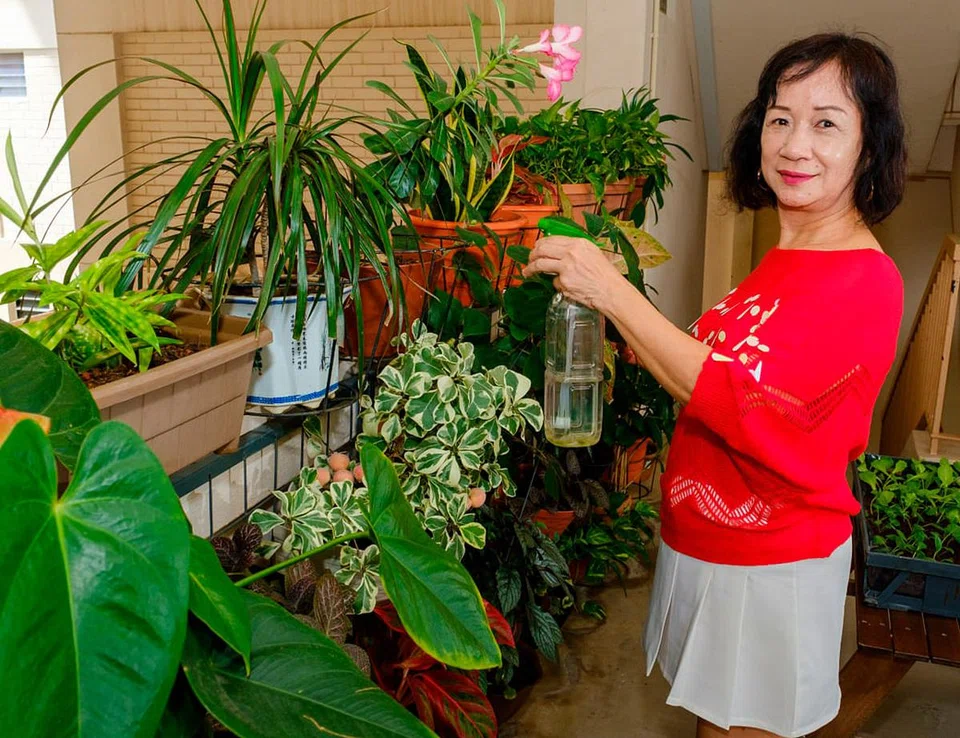 choo-kheng-huay-fostering-singapore