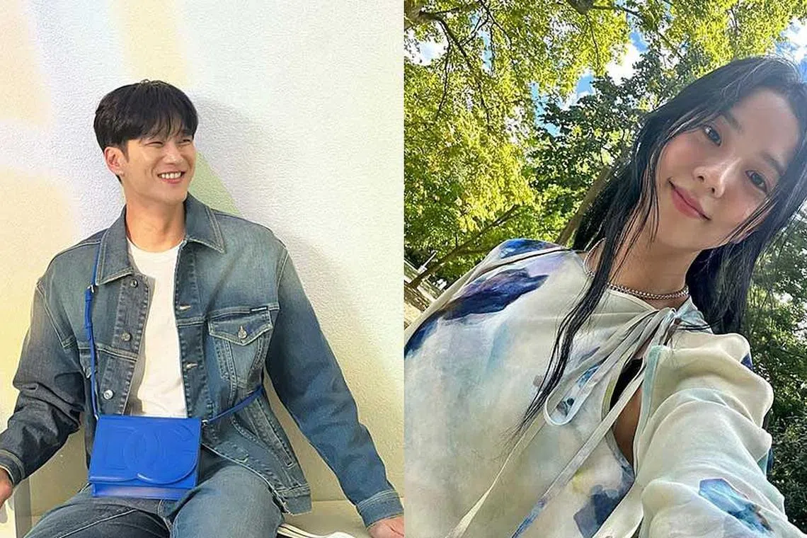 korean celebrity fakes 