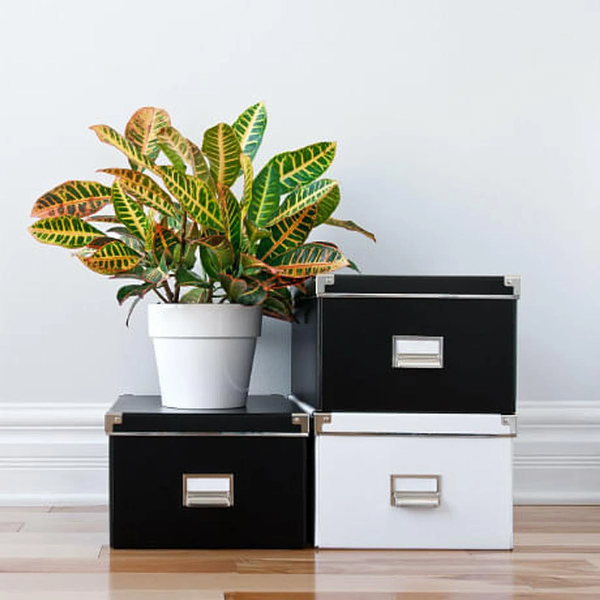 spring cleaning tips to declutter your home thumb
