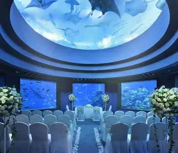 weddings_ocean_dome_thumb