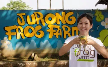 PssstÃƒÂ¢Ã¢â€šÂ¬Ã‚Â¦ I Work As A Frog Farmer
