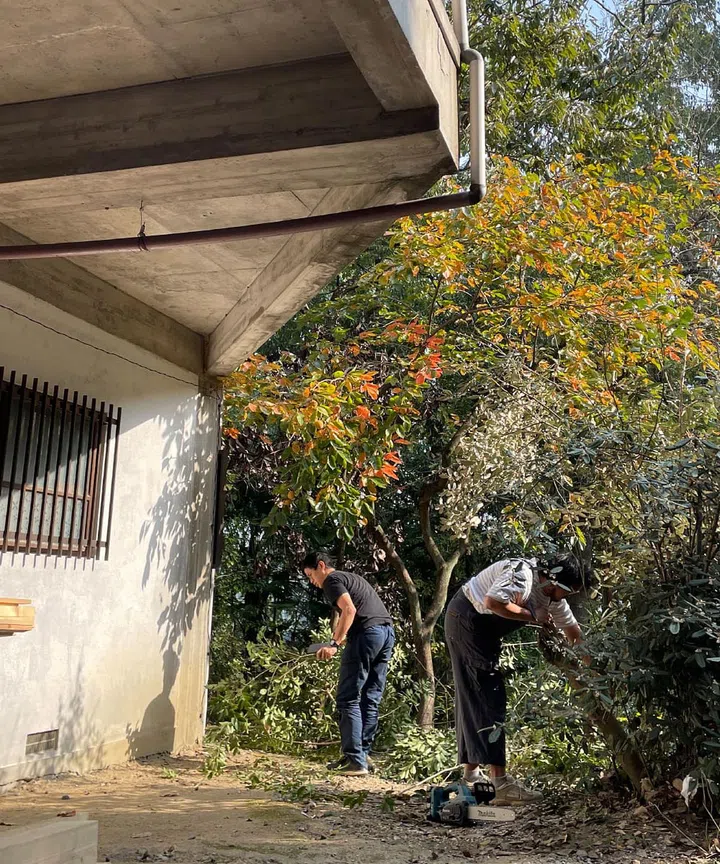 Credit: Isle of Dreams