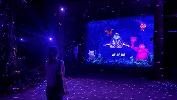 Rainforest Lumina