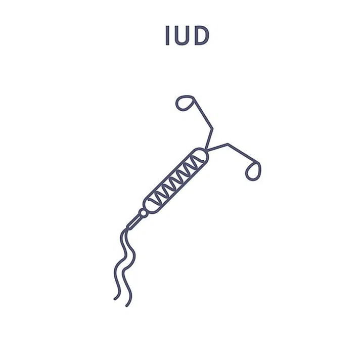 Birth Control Implant, IUD, Shot, Ring, Patch, Pill, Condom, Internal Condom, Diaphragm, Sponge, Cervical Cap, Spermicide, Fertility Awareness, Withdrawal (Pull Out Method), Sterilization, Vasectomy