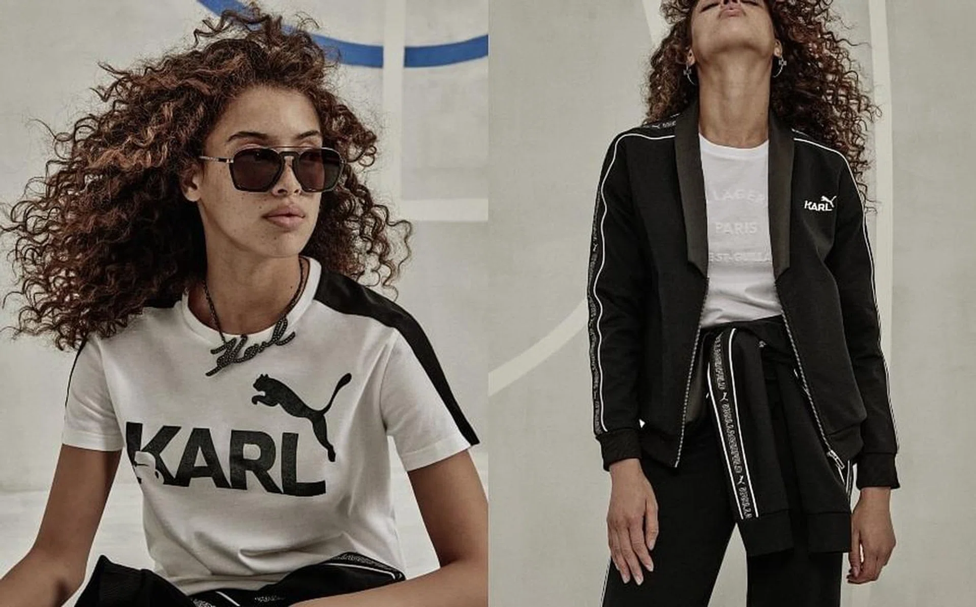 puma_cover_rec