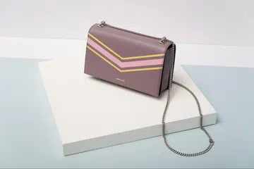 11.11 Sale: Best Bags Under $100