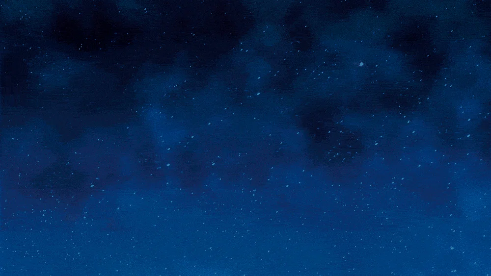 Estee-Lauder-Advanced-Night-Repair-Real-Women-Reviews-2