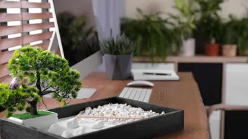 3 feng shui tips on how to keep cash flowing in the Year of the Rat