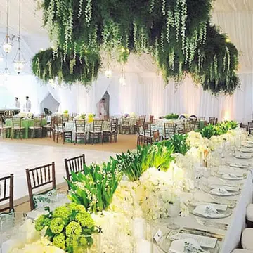 How this million-dollar wedding turned into a million-dollar lawsuit, and what to learn from it thumbnail
