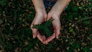 Sustainability environment women WISE