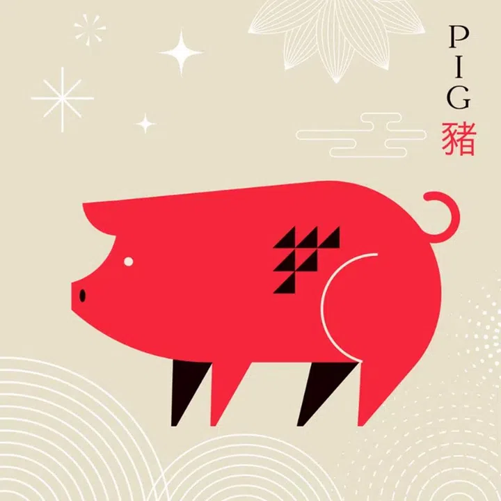 pig chinese new year zodiac predictions