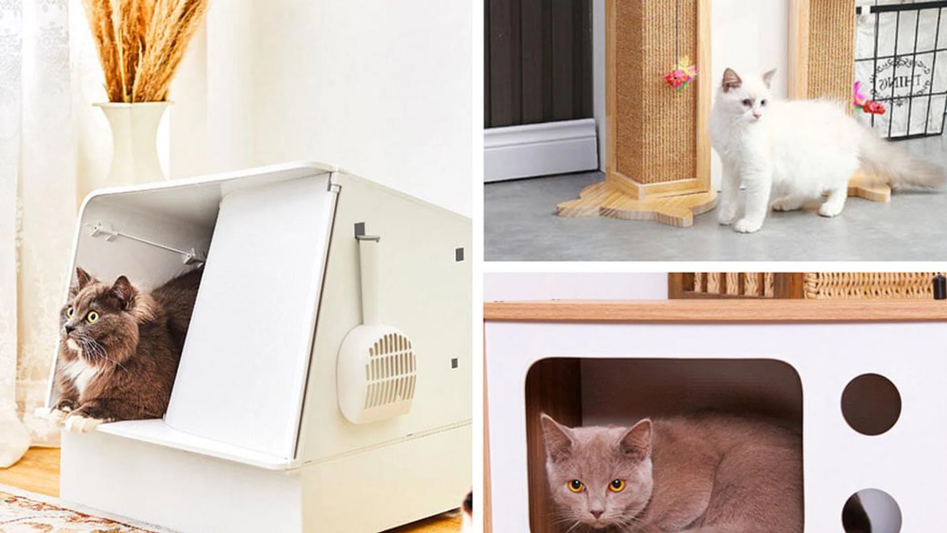 Home accessories for your cat