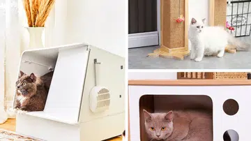 Home accessories for your cat