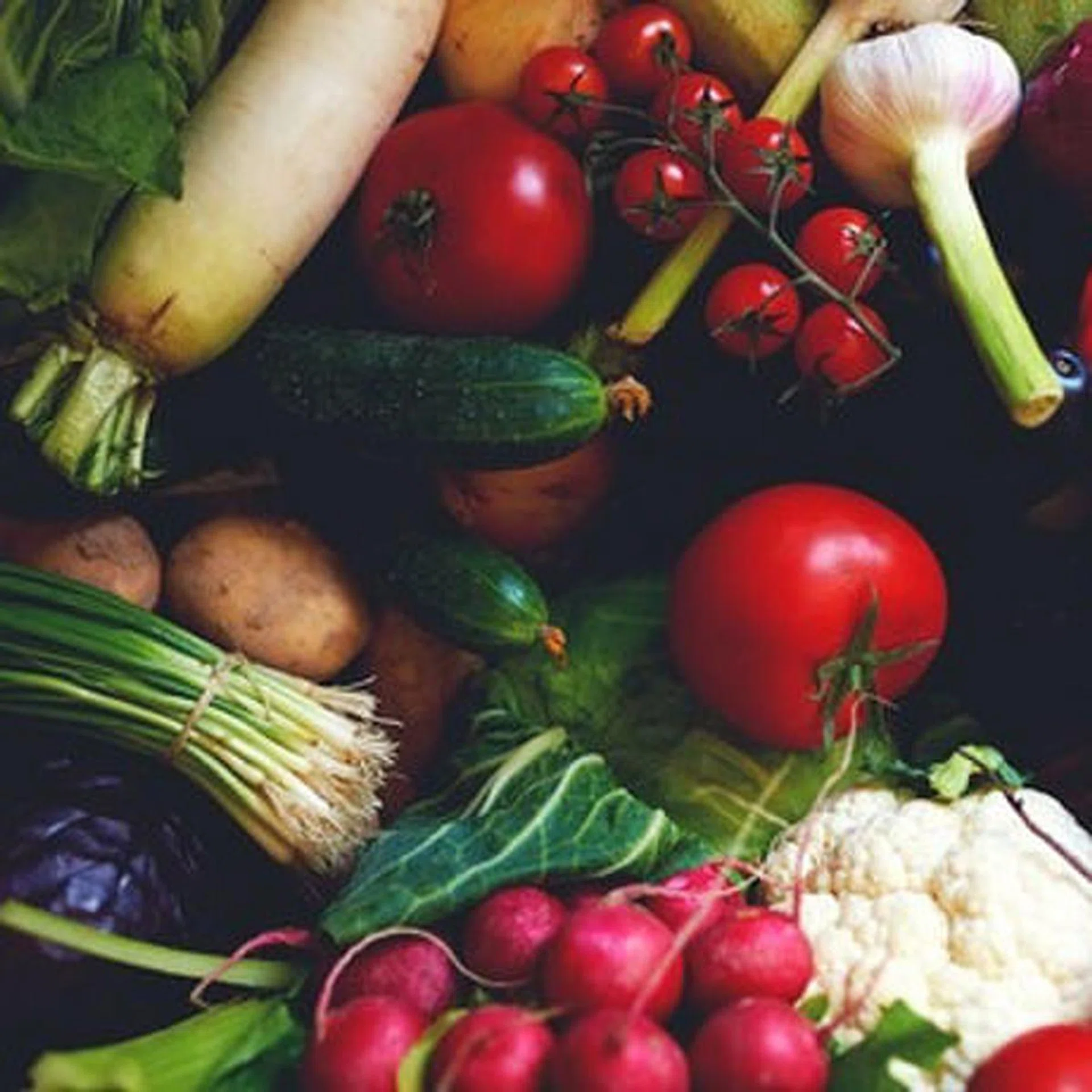 vegetables_t