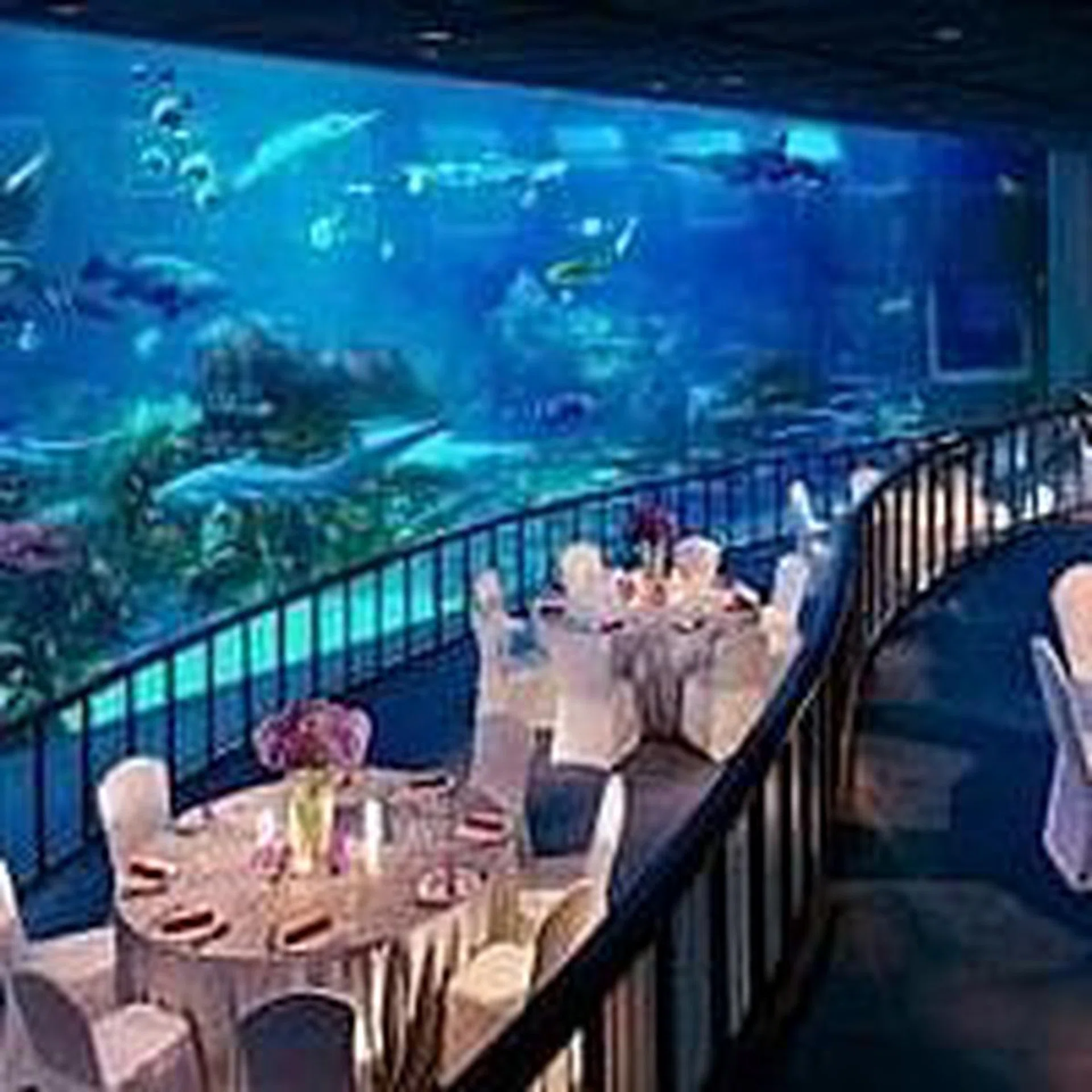 AquaWedding thumbnail.jpeg