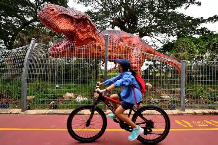 A cyclist cycling next to Tyrannosaurus Rex along Changi Jurassic Mile on Oct 11, 2020. The Changi Airport Connector is home to the Changi Jurassic Mile - Singapore's newest and largest permanent outdoor display of life-sized dinosaurs.