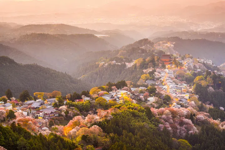 Yoshinoyama, Japan in Spring