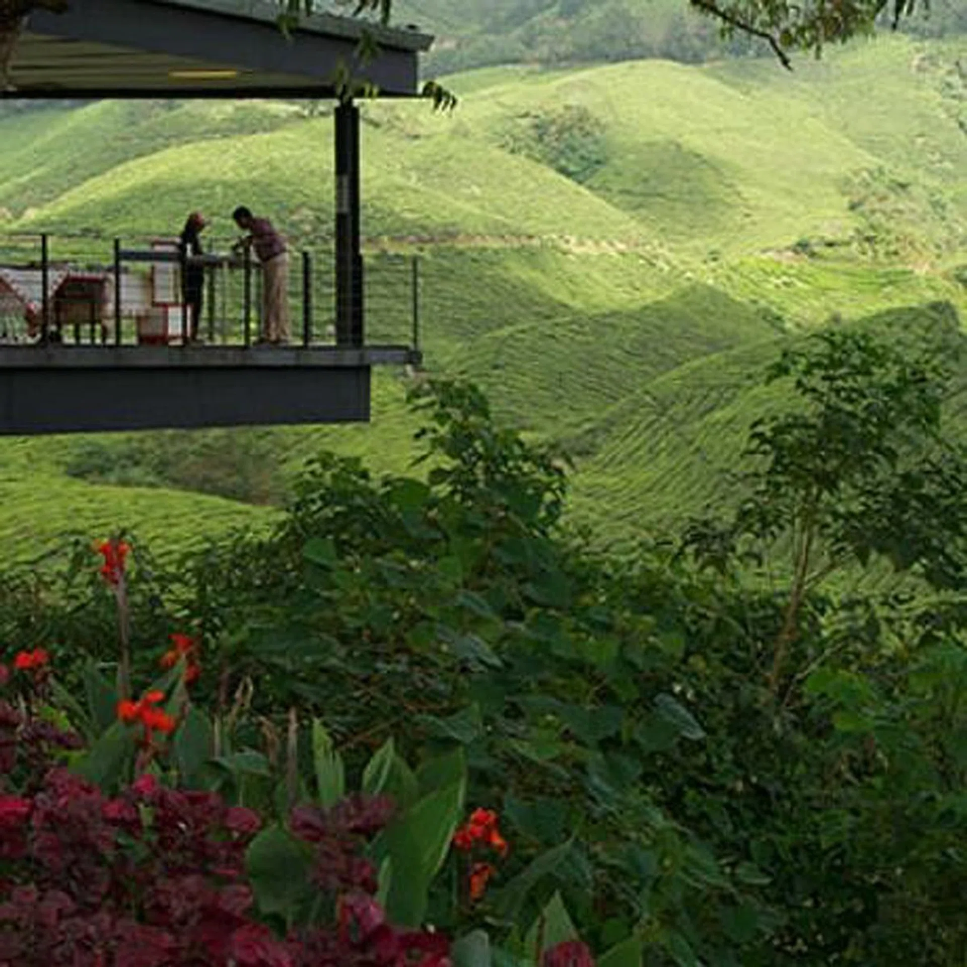 Eastern and Oriental Express