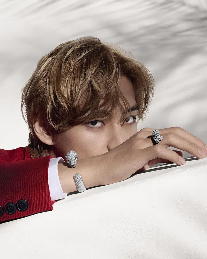 bts v taehyung cartier