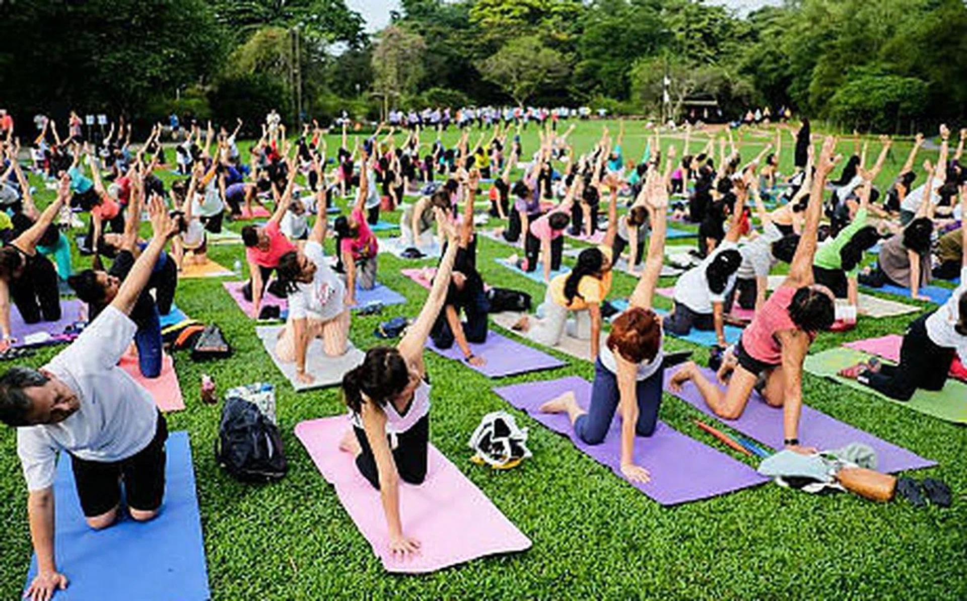 yoga_rect
