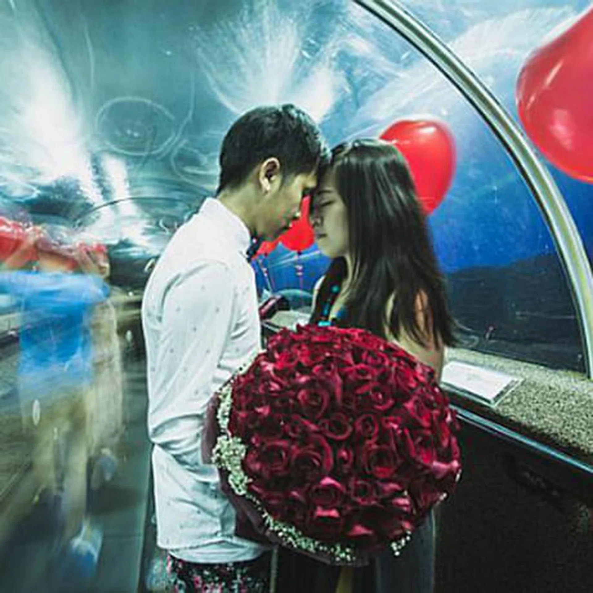 st_proposals_tn