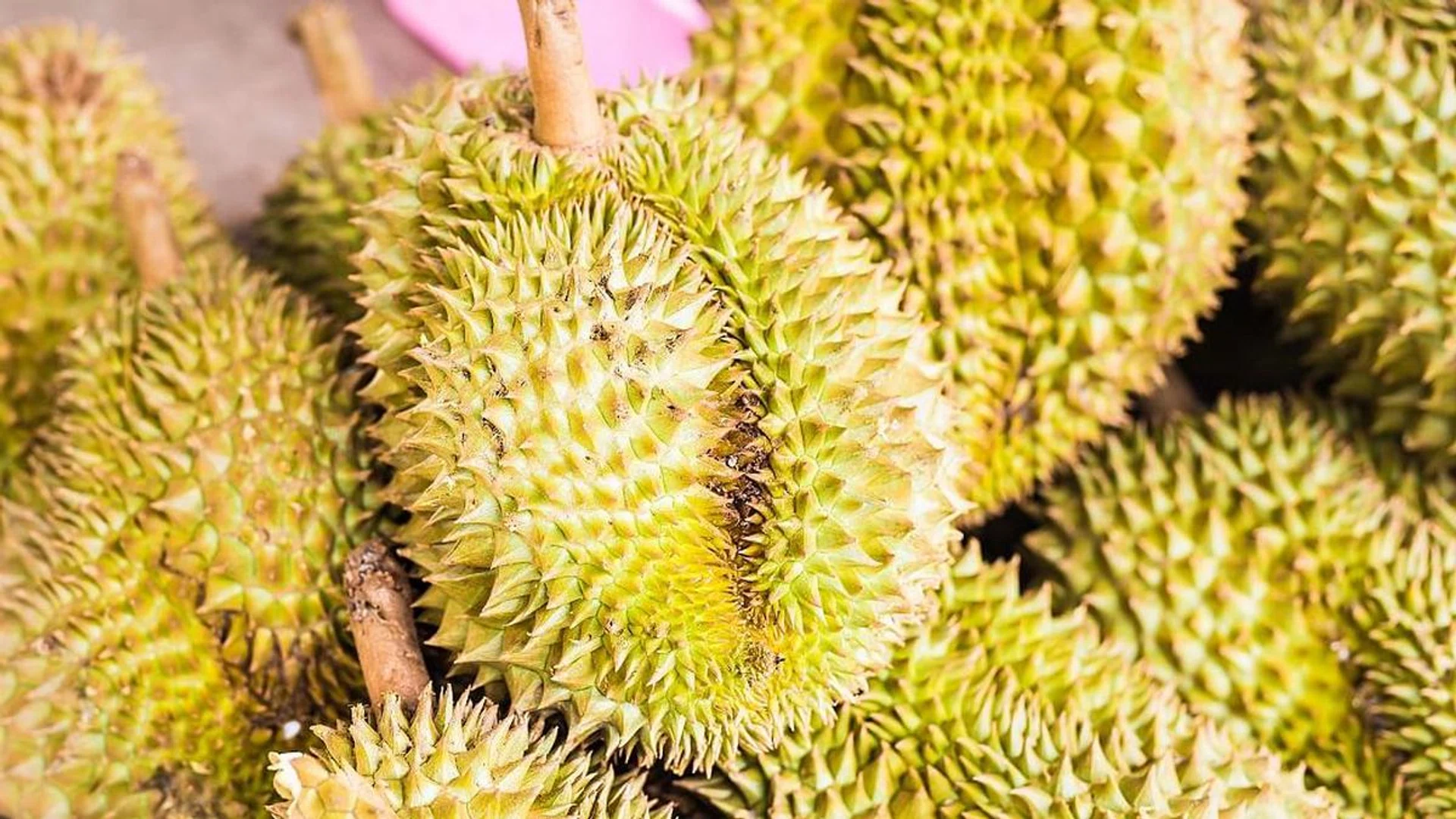durian types singapore
