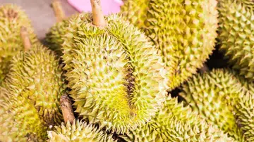 durian types singapore