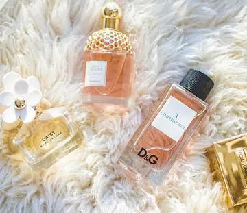 perfume 101