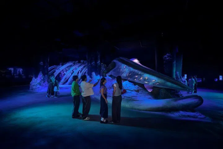 singapore-oceanarium-resorts-world-sentosa-whale-fallsingapore-oceanarium-resorts-world-sentosa-global-warming