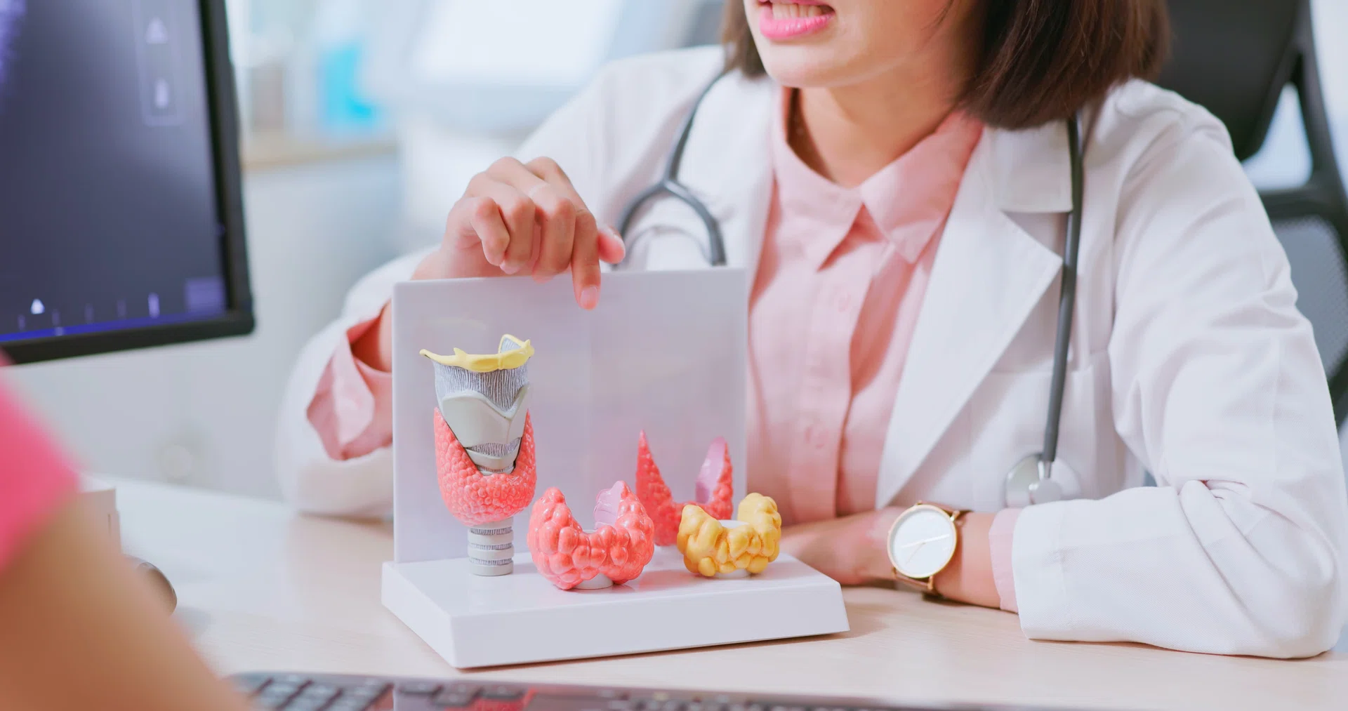 Closeup view of asian doctor use a thyroid model to teach patient knowledge about this organ
