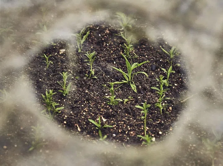 Green Circiel Eco Farm