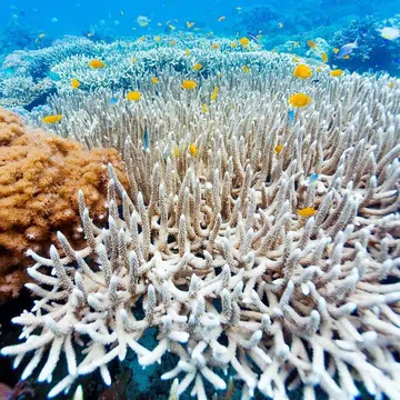 travel, destinations, vacation, holiday, once in a lifetime, bucket list