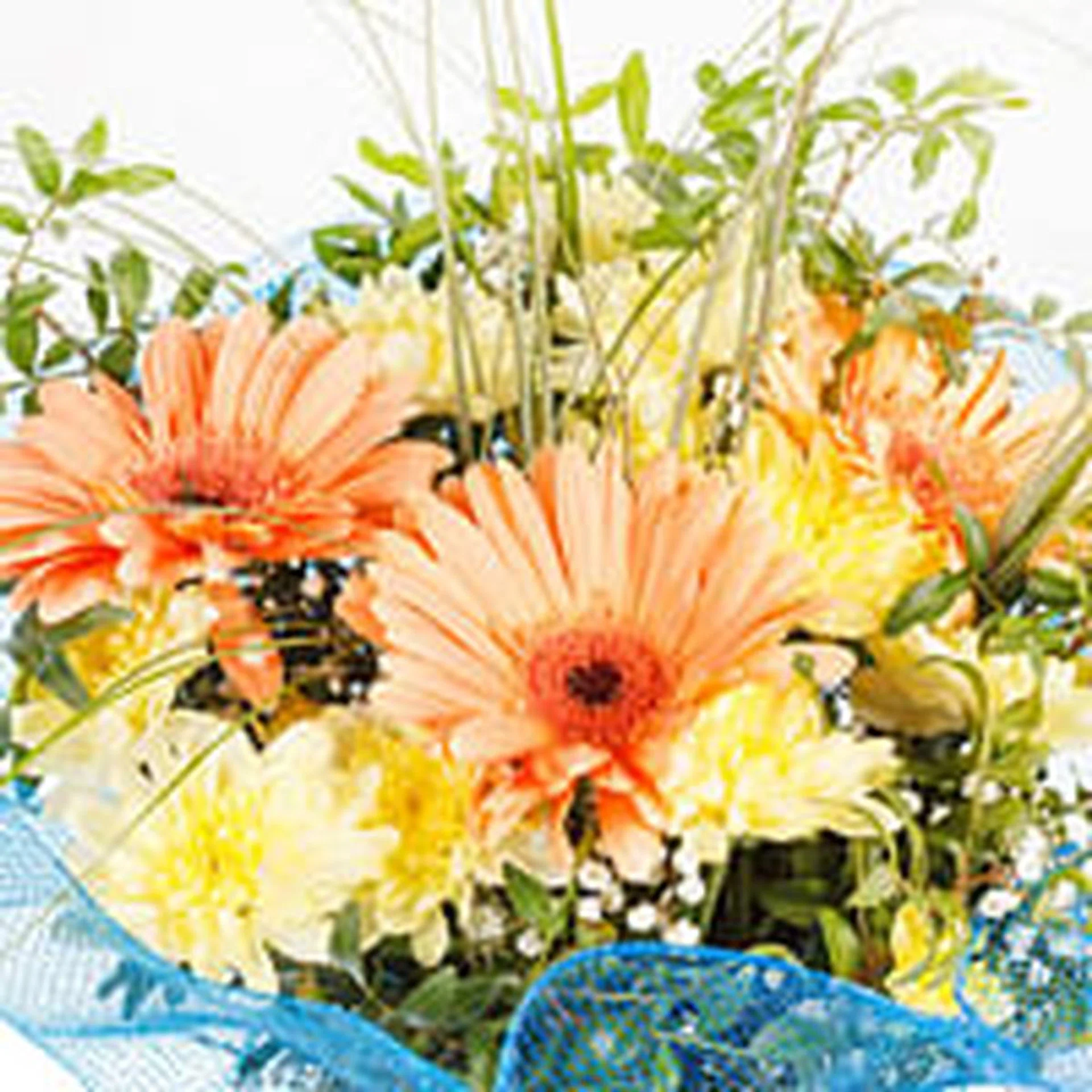 flowers 2 T