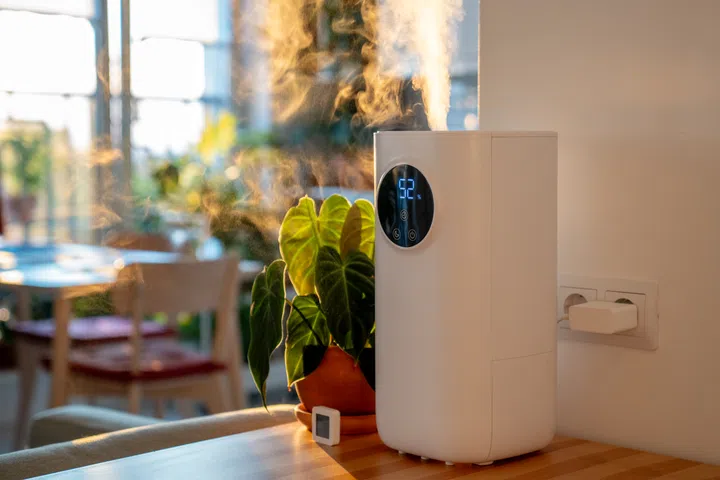 Modern humidifier at home, moistens dry air surrounded by indoor Philodendron houseplant. Humidification, plant care, comfortable living conditions concept. Diffuser, apartment with moisturizer