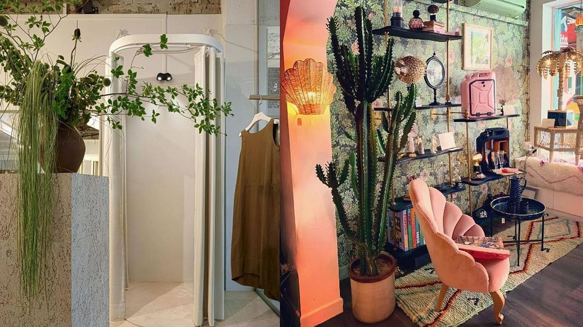 Credit: Instagram/ @tigerandarcadia and @r__y__e