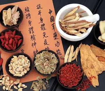 4 TCM remedies that help improve digestive health