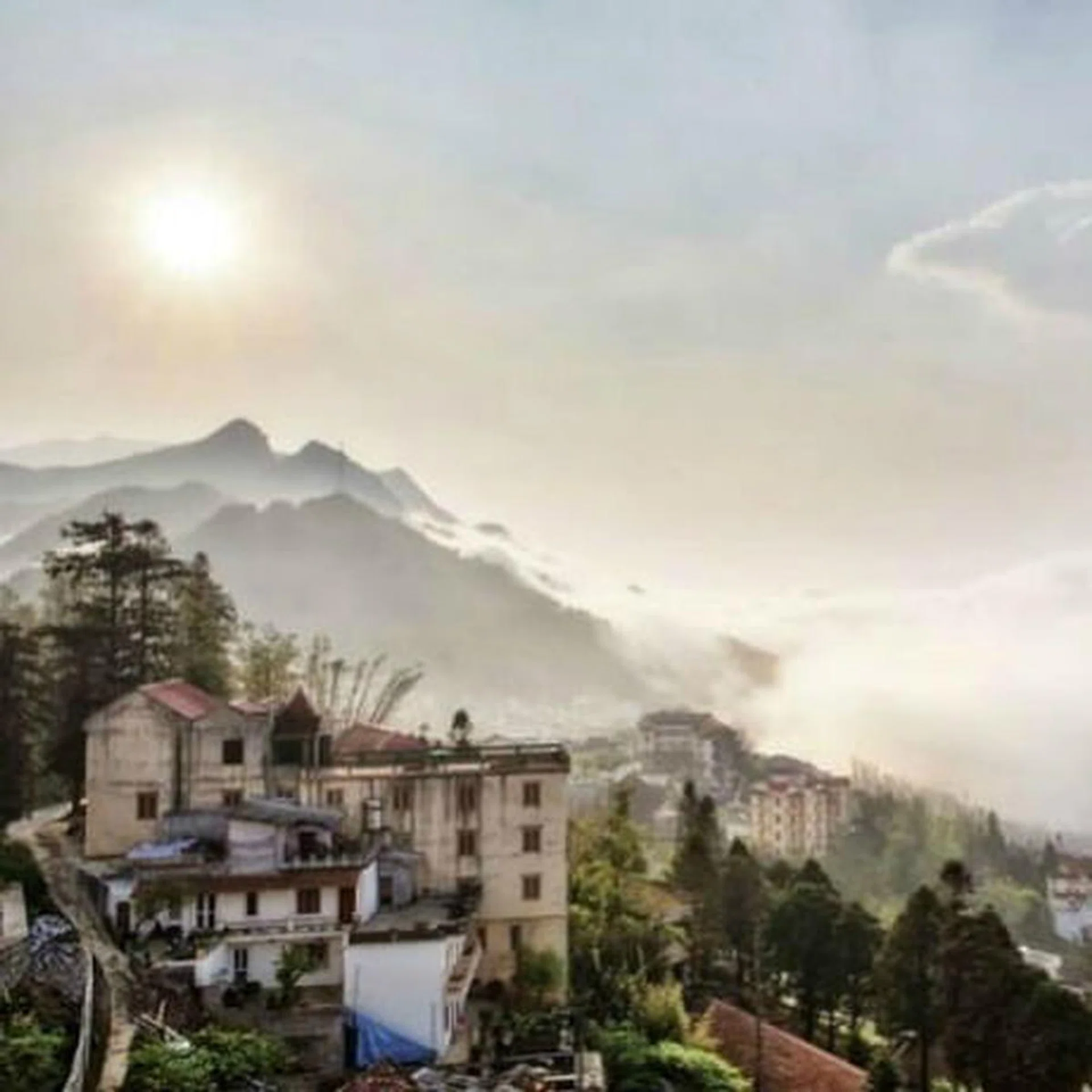 sapa_cover_thumbnail