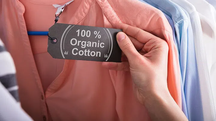 Close-up Of A Woman's Hand Holding Label Showing 100 Percent Organic Cotton