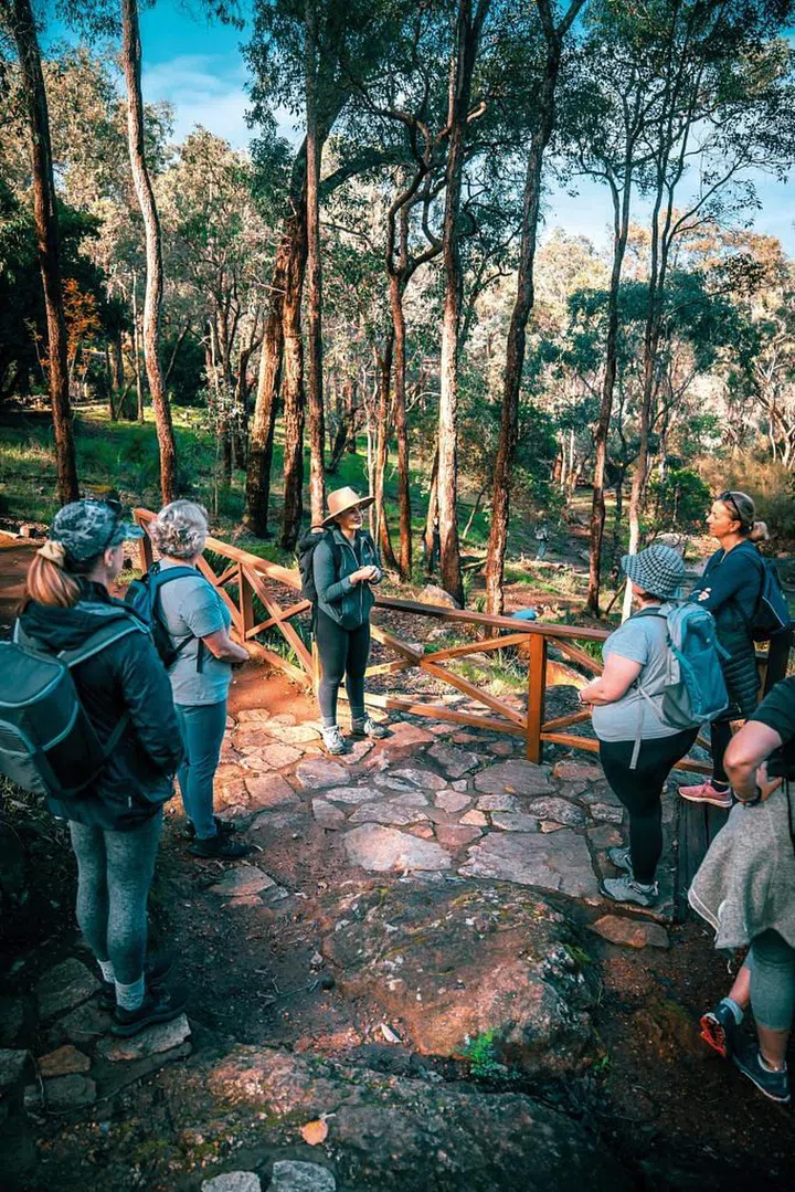 A guided hike through the native forests of Araluen.