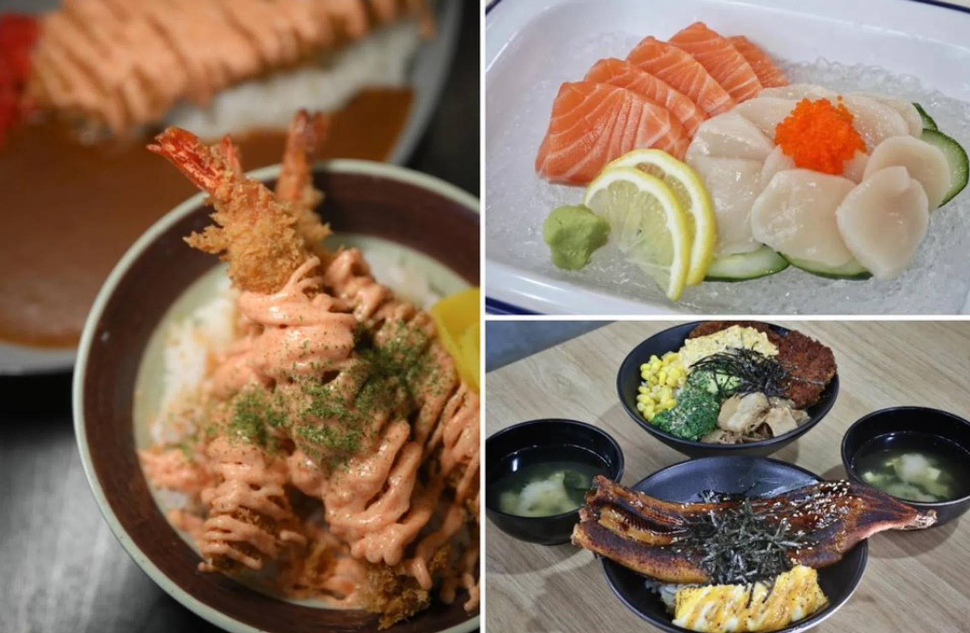 Affordable, Budget Japanese Hawker Food in Singapore