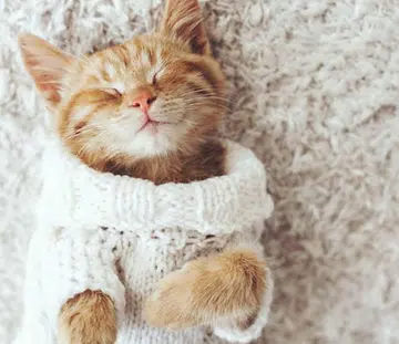 How to tips fight insomnia sleep deprivation THUMBNAIL