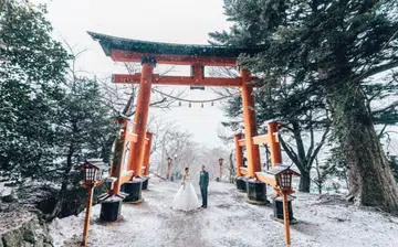 wedding_travel_insurance
