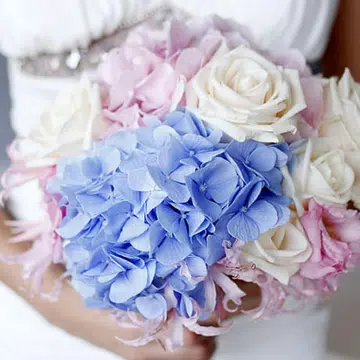 four colours one wedding new t