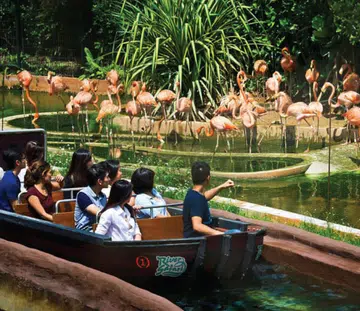 animal lover singapore