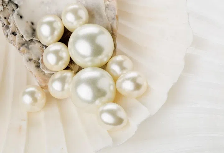 Close up of pearls in sea shell with selective depth of field